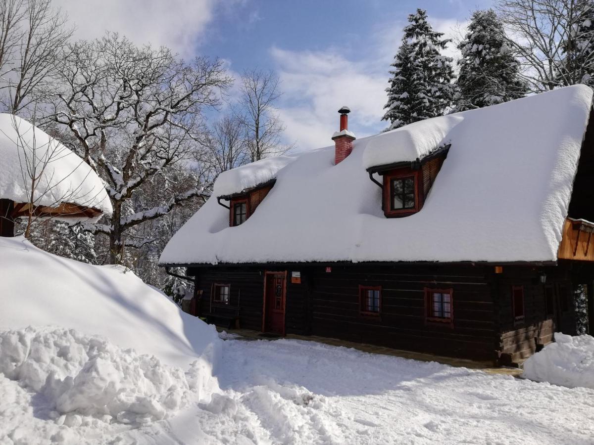 Pocitniska Hisa Koca Dobnik Villa Lovrenc na Pohorju Luaran gambar