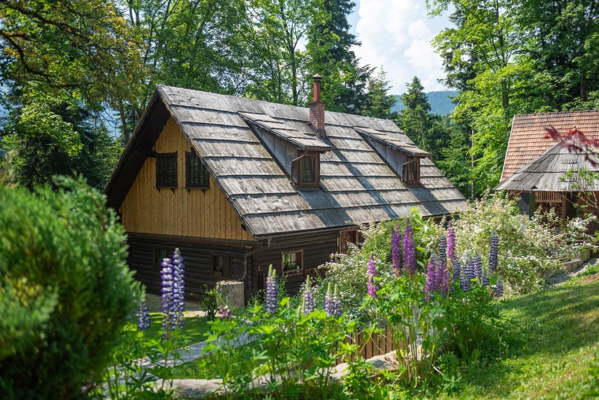 Pocitniska Hisa Koca Dobnik Villa Lovrenc na Pohorju Luaran gambar
