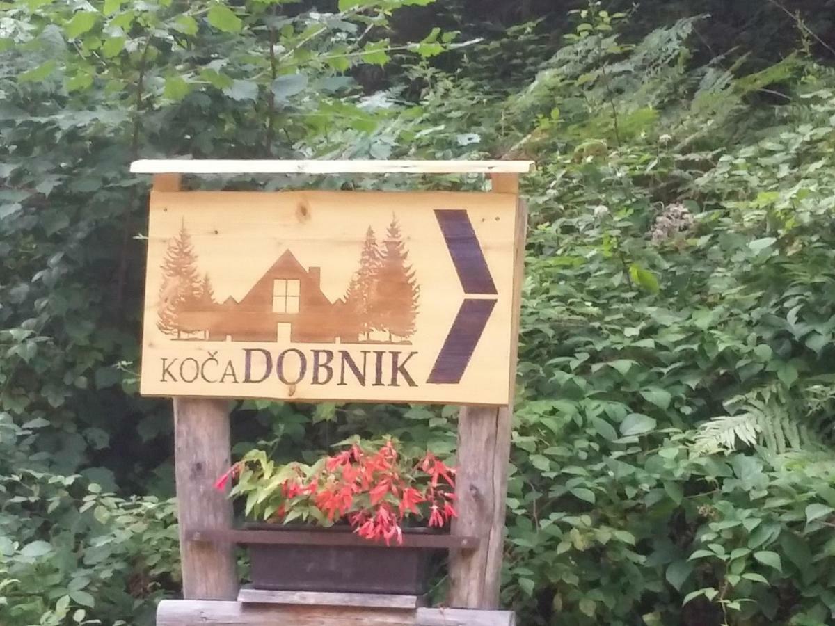 Pocitniska Hisa Koca Dobnik Villa Lovrenc na Pohorju Luaran gambar