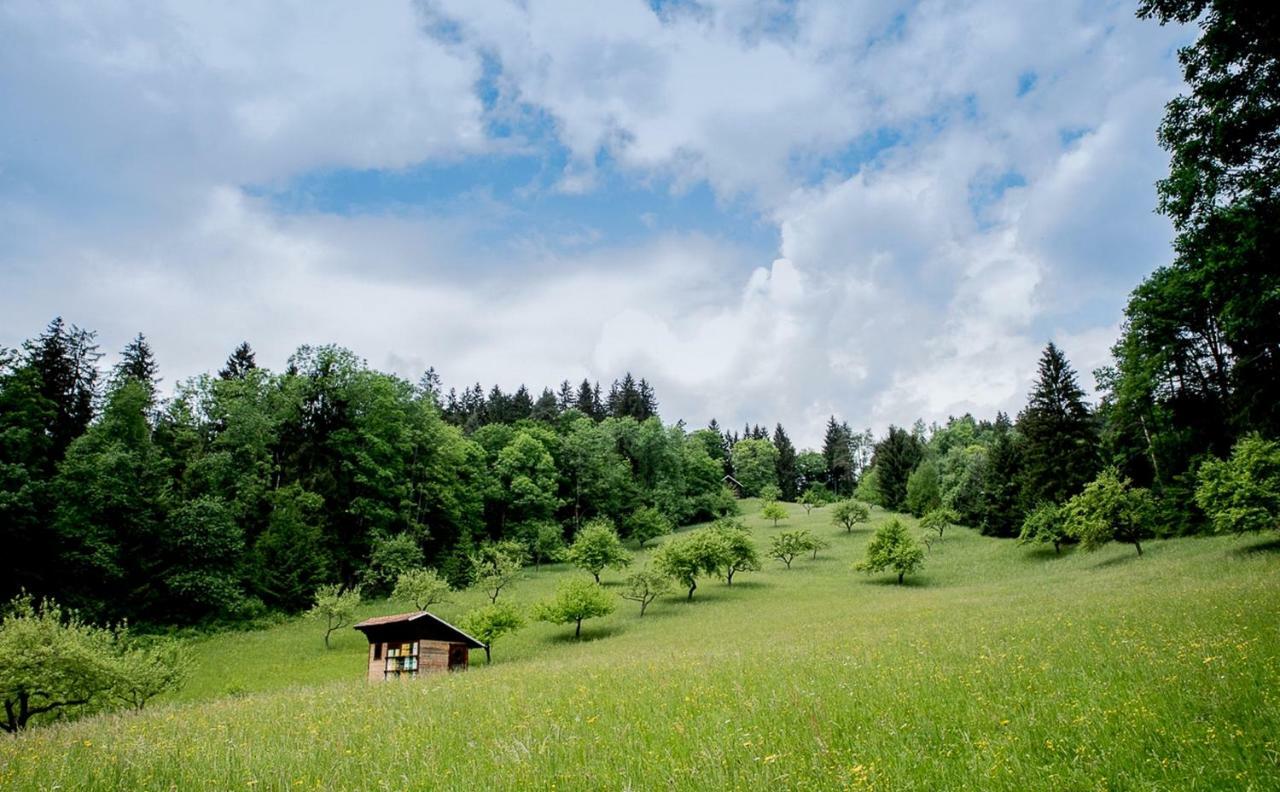Pocitniska Hisa Koca Dobnik Villa Lovrenc na Pohorju Luaran gambar