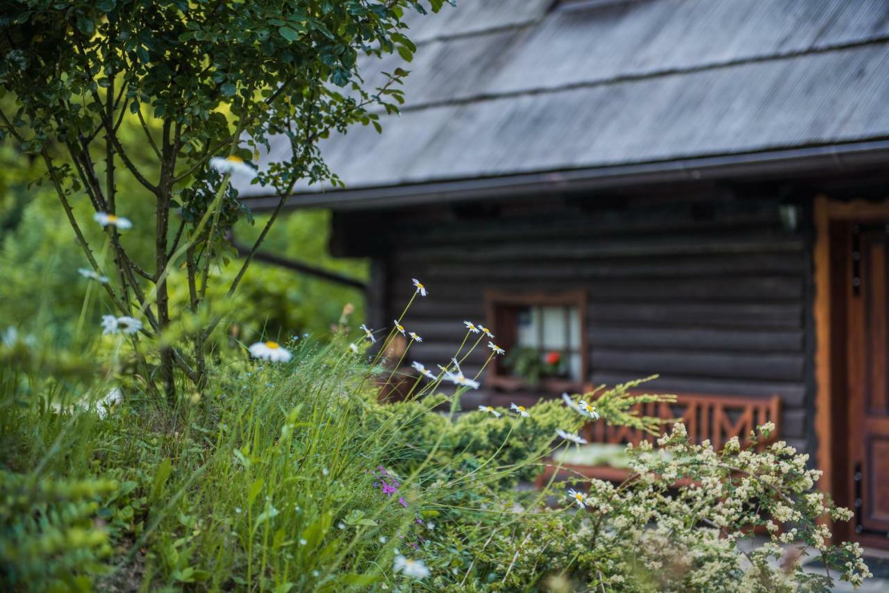 Pocitniska Hisa Koca Dobnik Villa Lovrenc na Pohorju Luaran gambar