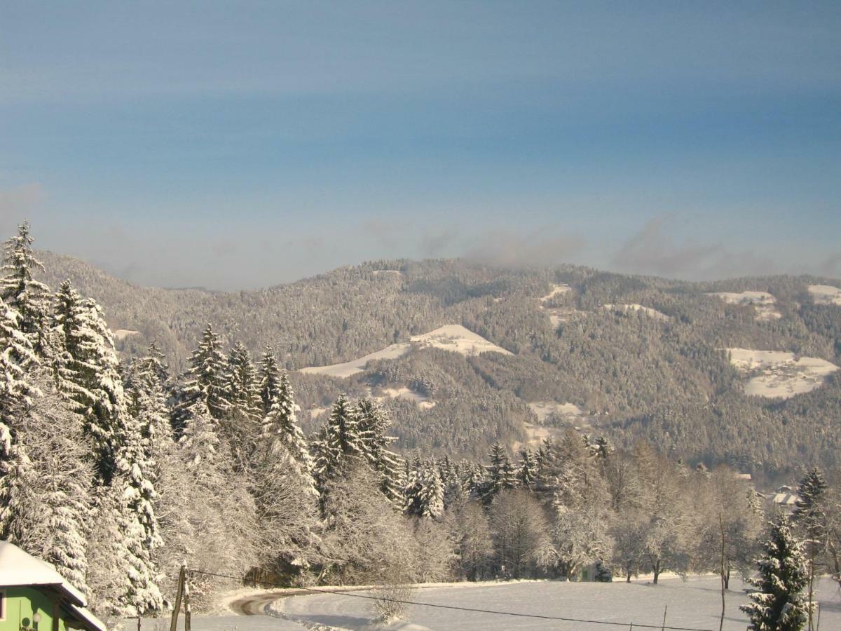Pocitniska Hisa Koca Dobnik Villa Lovrenc na Pohorju Luaran gambar